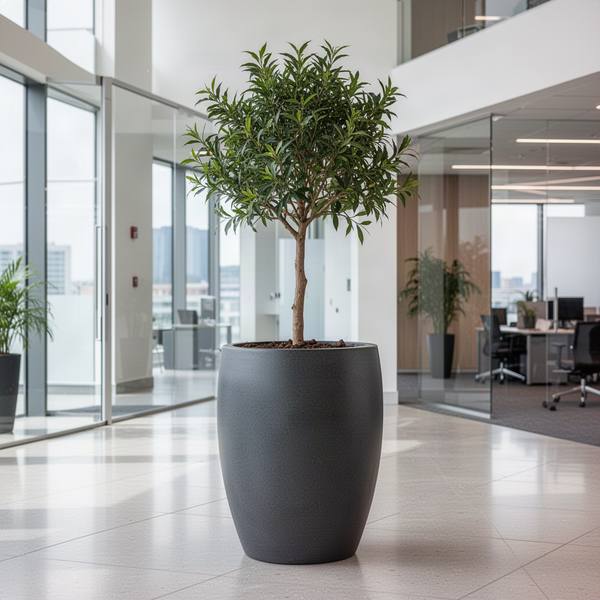 Planters & Pots